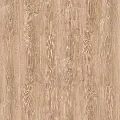 Sun - Karamel Meşe