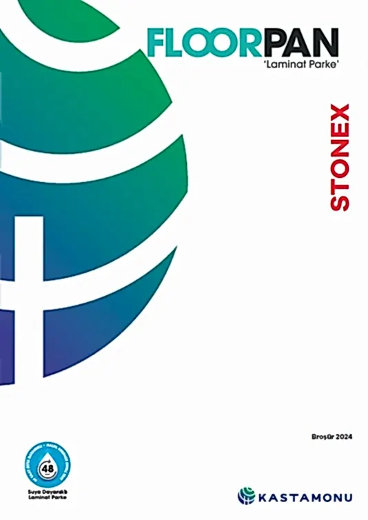 STONEX